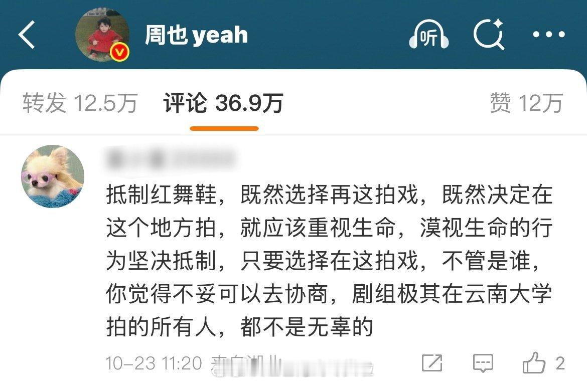 网友在红舞鞋女主周也评论区要求她道歉。如果爆料是真的，开快车和撞死猫现在真的是