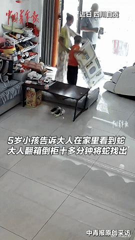 你敢信？5岁娃喊“家里有蛇”，大人一顿操作后全员后怕！“有蛇！真的有蛇！”