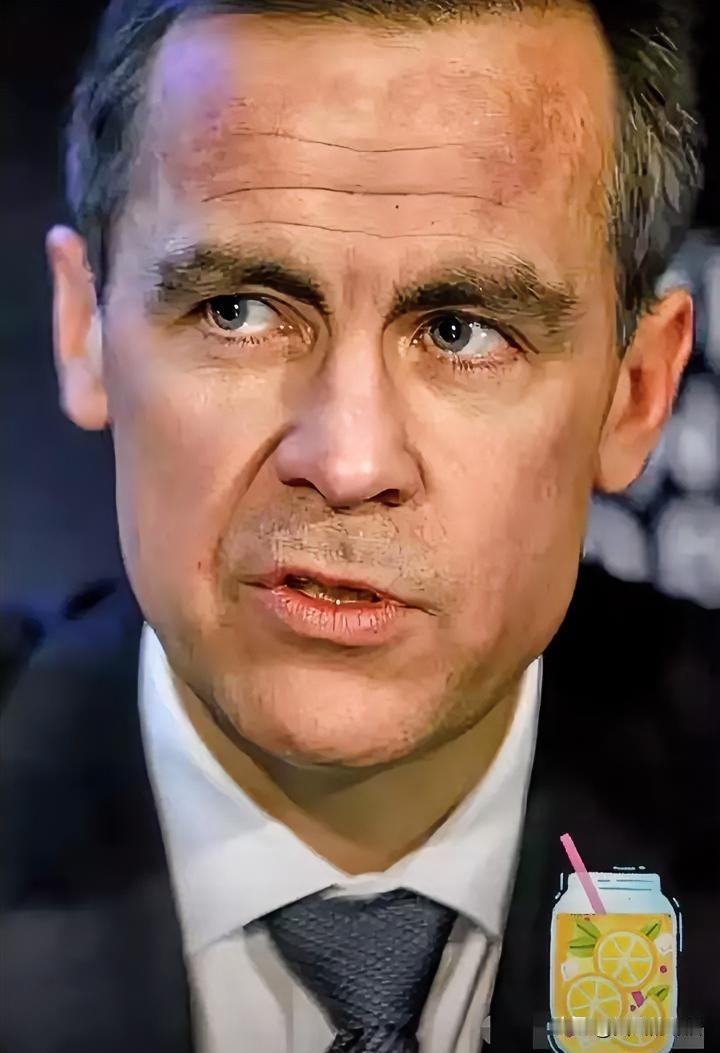 加拿大政府消息！12月10日，加拿大联邦政府高调宣布，正式启动一项名为“加