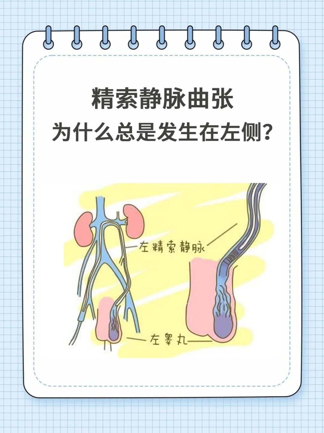 为什么男生“蛋疼”总是左边？很多有