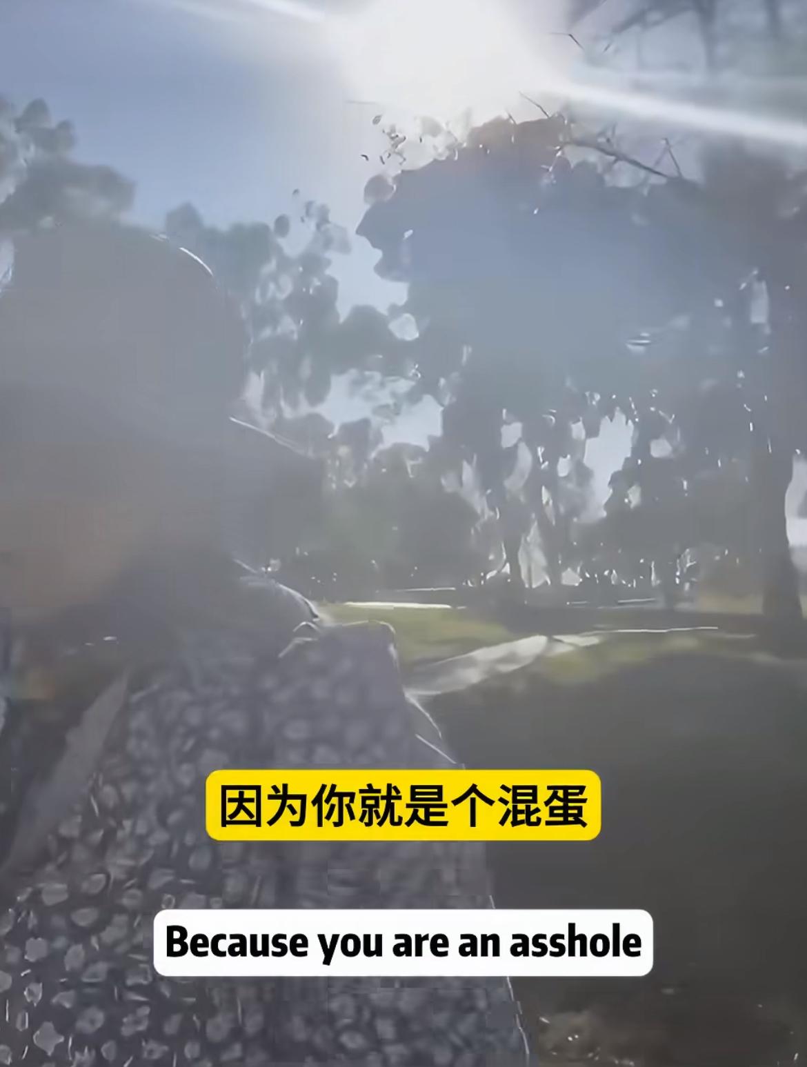 到了国外就通情达理了，被辱骂了半天结果对着老太太说了一句“thankyou”