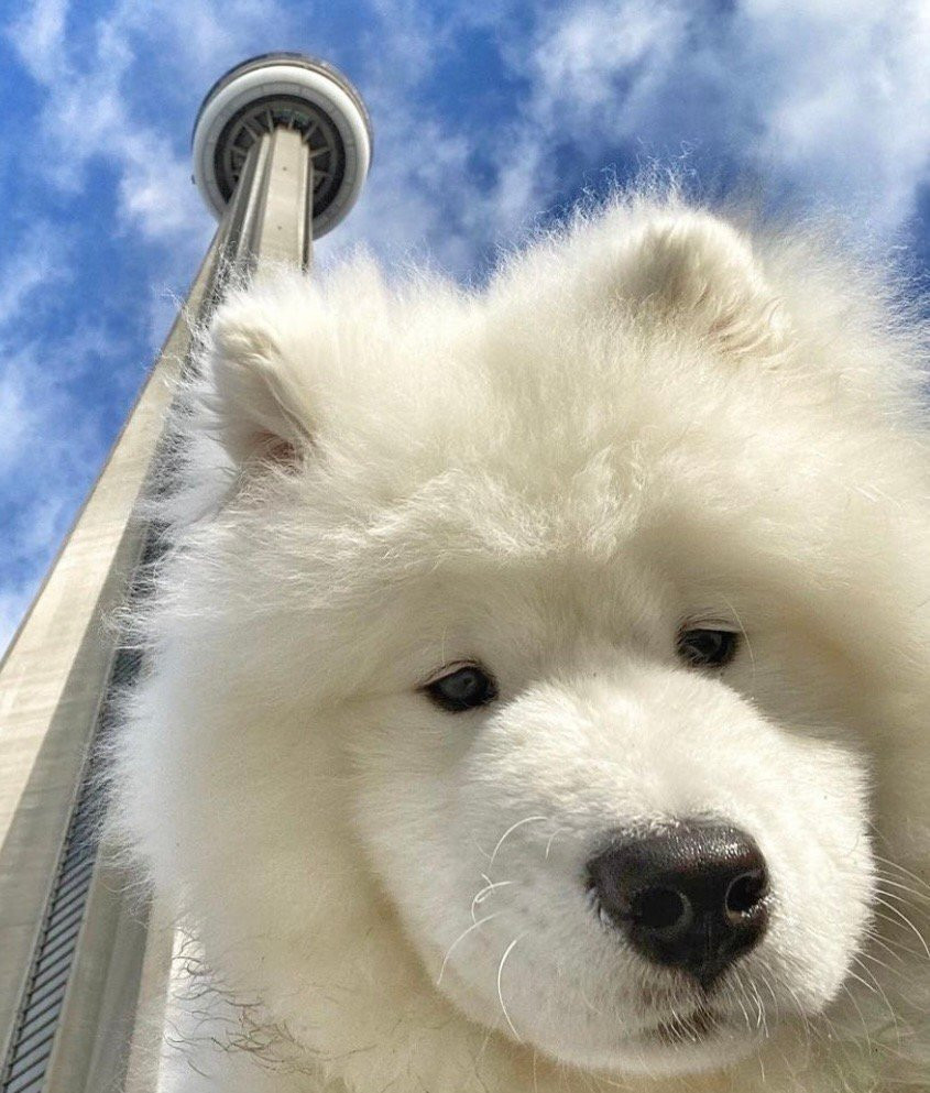 希望世界和平希望热搜只有猫猫狗狗和明星八卦希望每个人每个夜晚都能安心入睡醒来照常