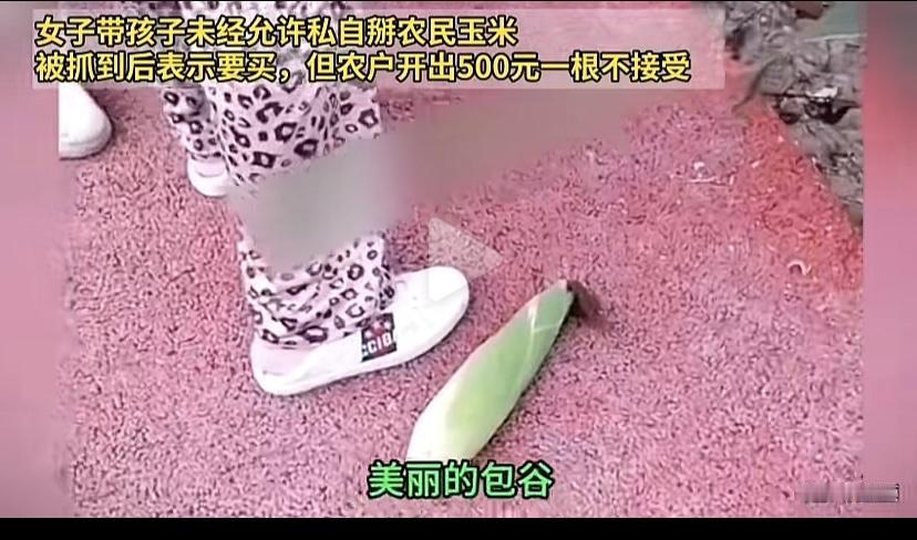 女孩私自掰农民玉米棒，被抓后主动说花钱要买，主人开价500一个。女孩说，你要价这