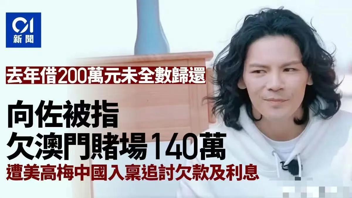 向佐被美高梅追债140万带出连锁反应网友开始质疑向家豪门真实性“这么有钱200