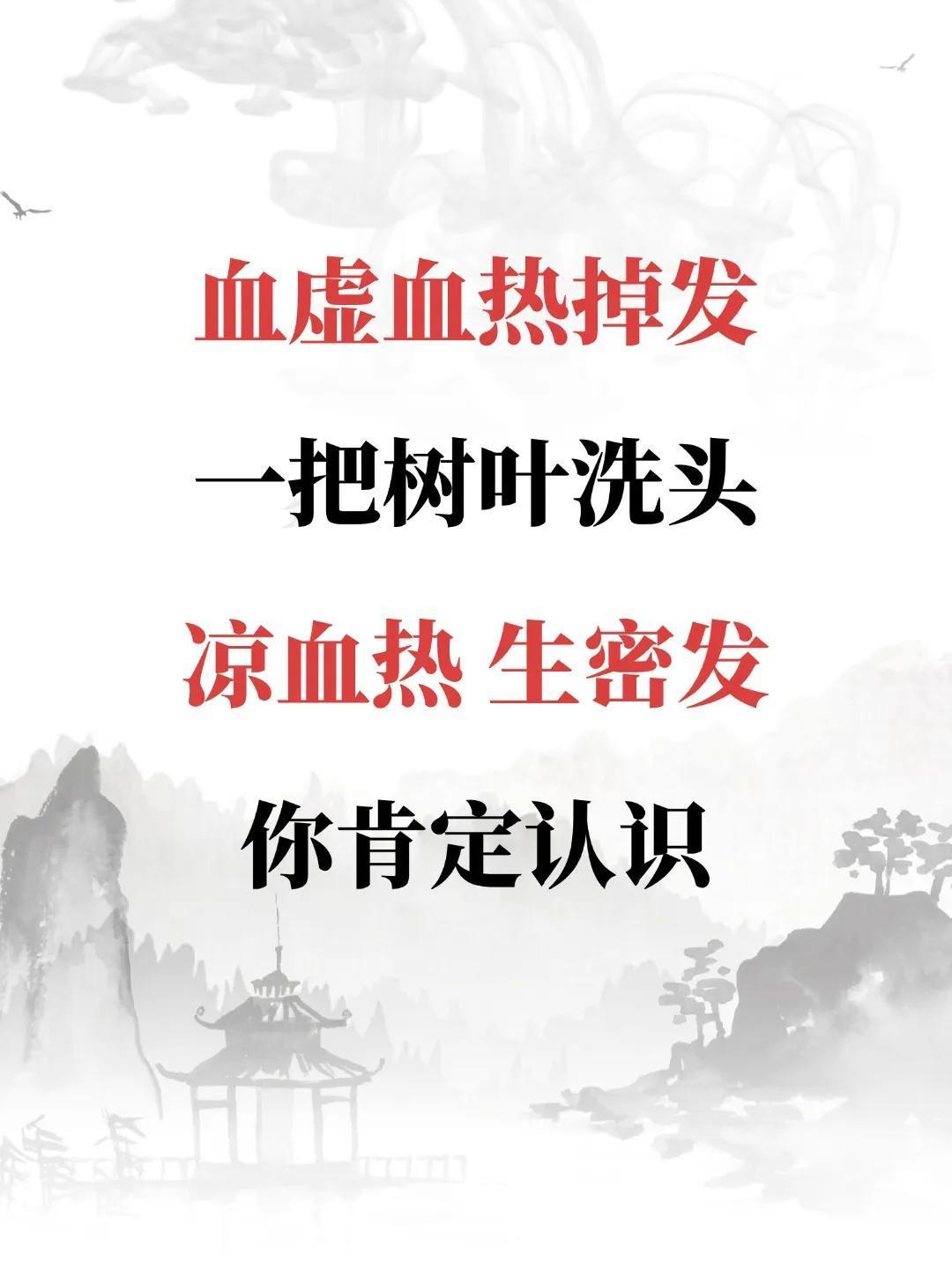 血虚血热掉发，一把树叶洗头