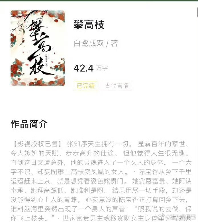 《攀高枝》🍉张康乐、林允，期待吗