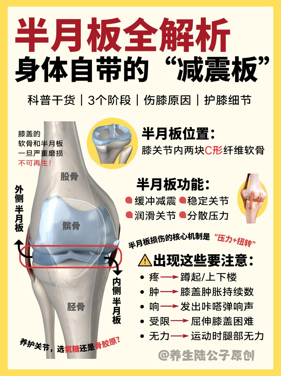 如何护好身体自带的这块“减震板”（半月板）
