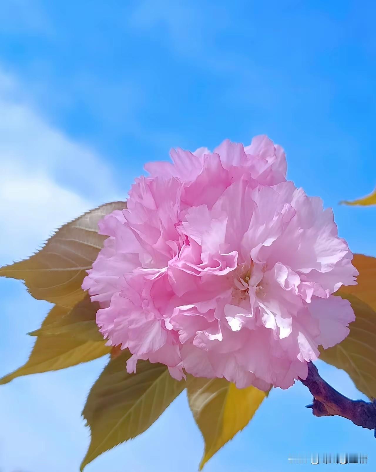 孩子越养越优秀的家庭，都藏着这4个日常习惯一、每天固定阅读，不追求多，只坚