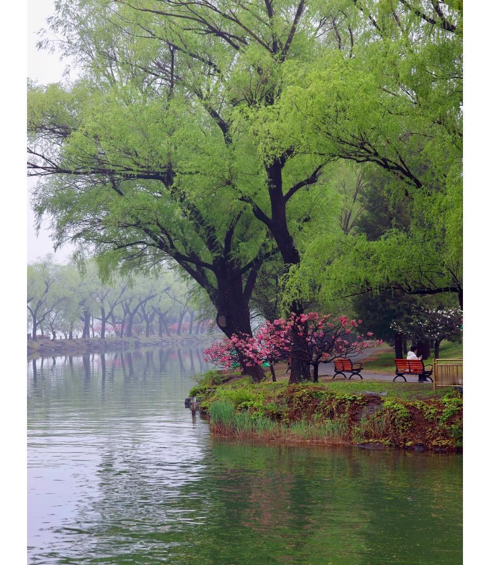 揭秘！买房和中介打交道，必须追问的几件事，否则坑你找不到北！买房不可避免会和