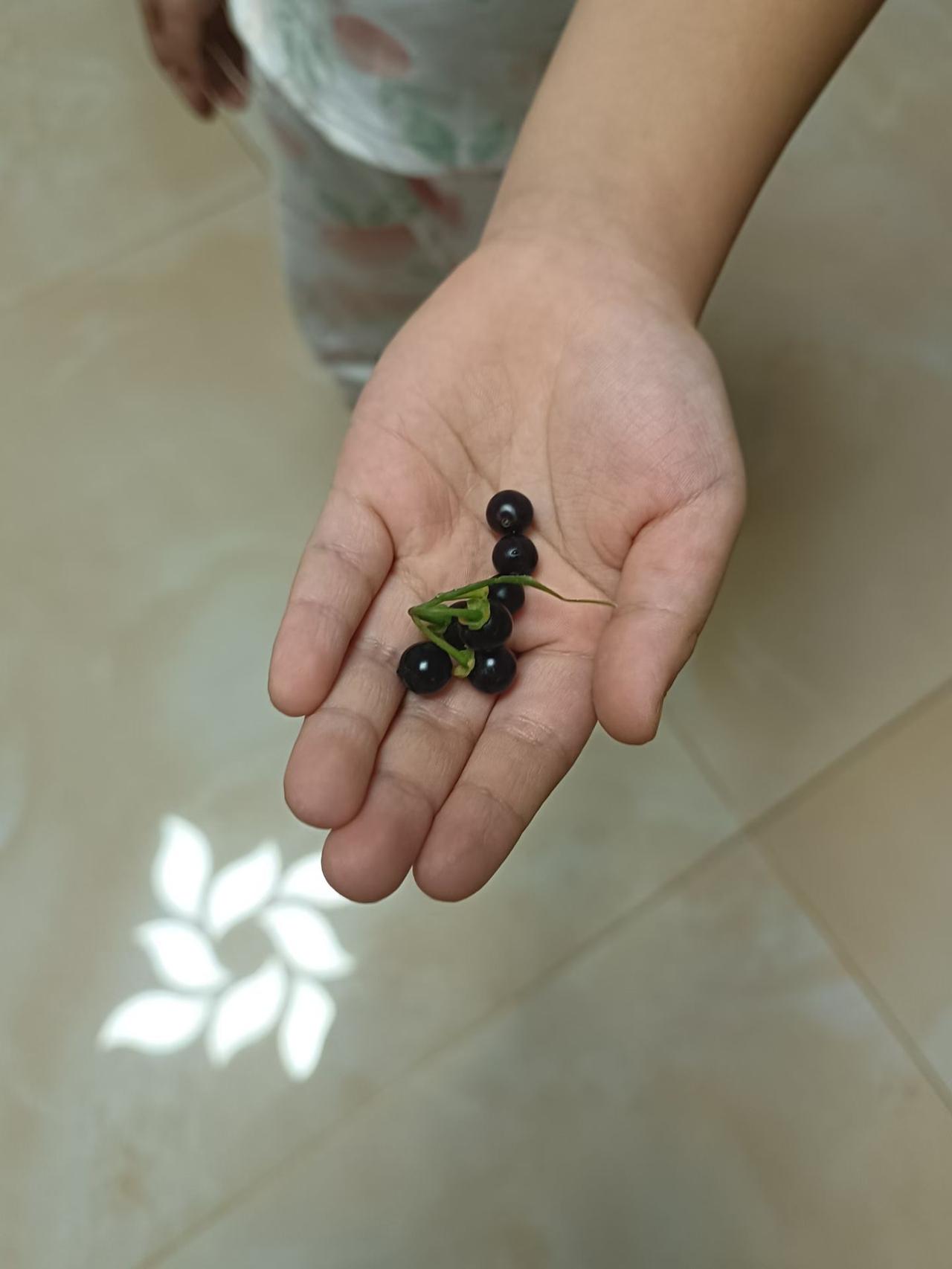 1996年我和老公刚结婚。“小于出事情了，急需5000元”老公和我说。小于是