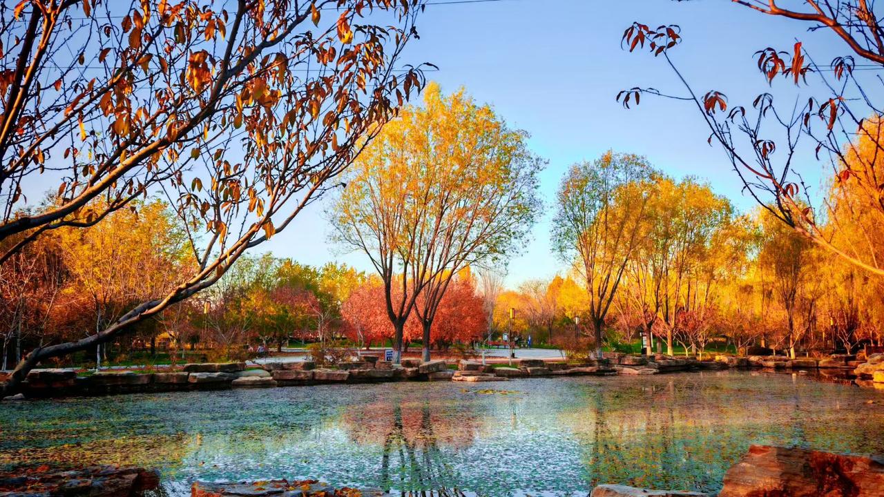 虚伪的善良算不算善良?虚伪的善良算不算善良？咱们先聊个身边特常见的事儿：朋