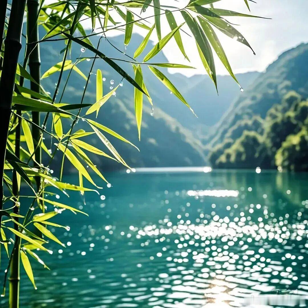 夏木阴阴，清风凉凉，人间盛夏，万物温柔～