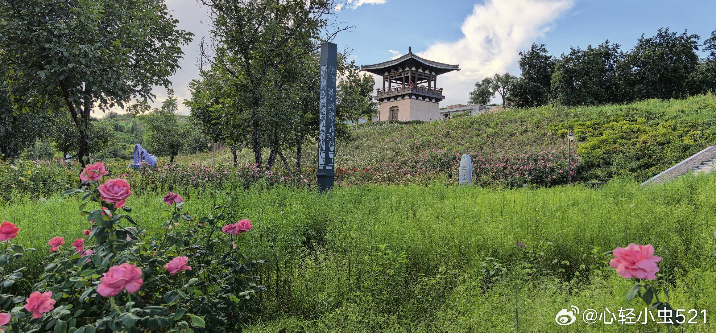 山西吕梁孝义市曹溪河旅游度假区月季谷​​​