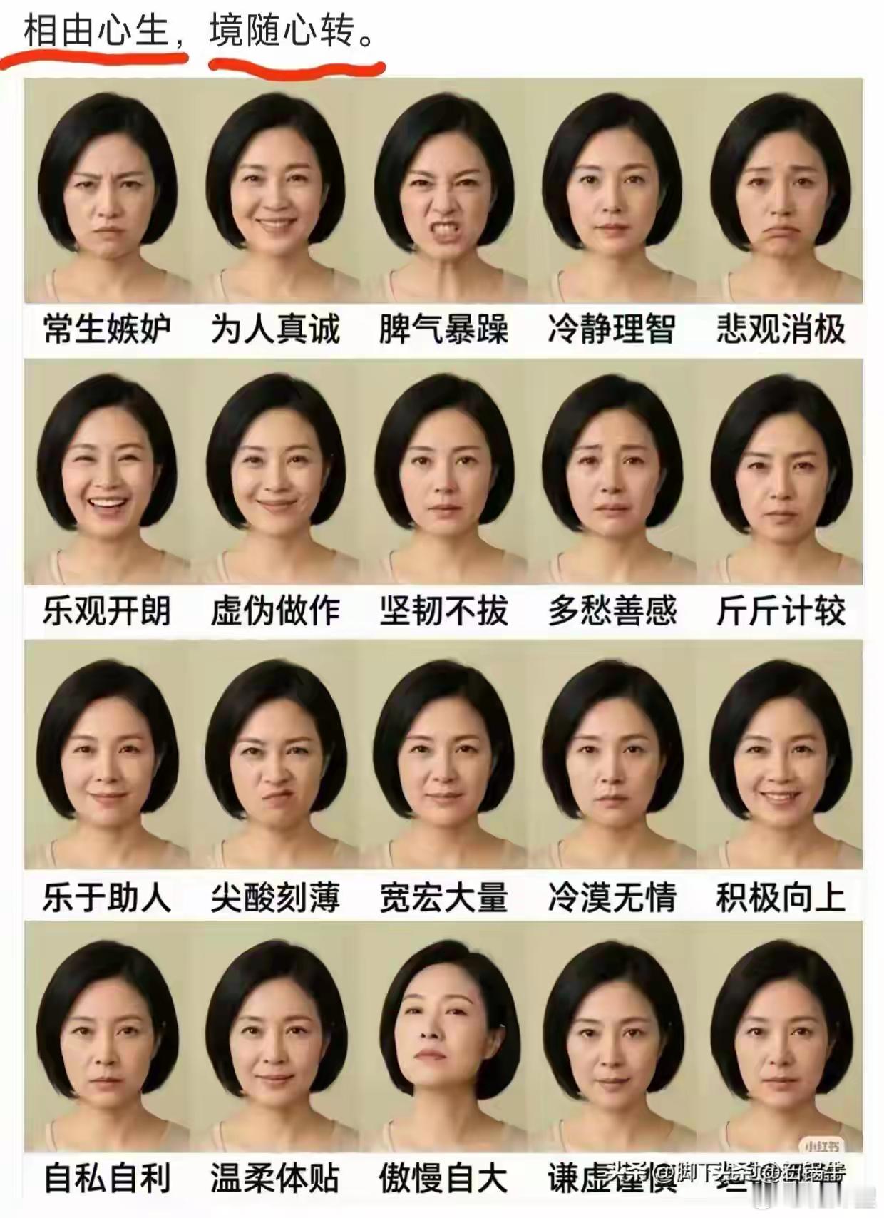不愧是相由心生，这表情我都对号入座了