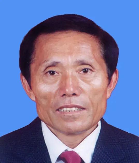 2024年夏，西辛庄村的别墅群在阳光下反射着光亮，免费医院里人来人往，孩子们在崭