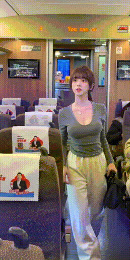 笑啥笑？查票！