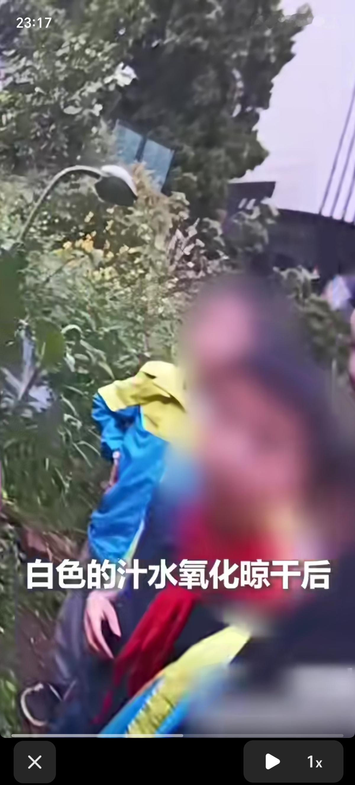 湖北宜昌的三名小学生在放学的路上发现了罂粟，立即报警。在去“扫毒的”路上，警察叔