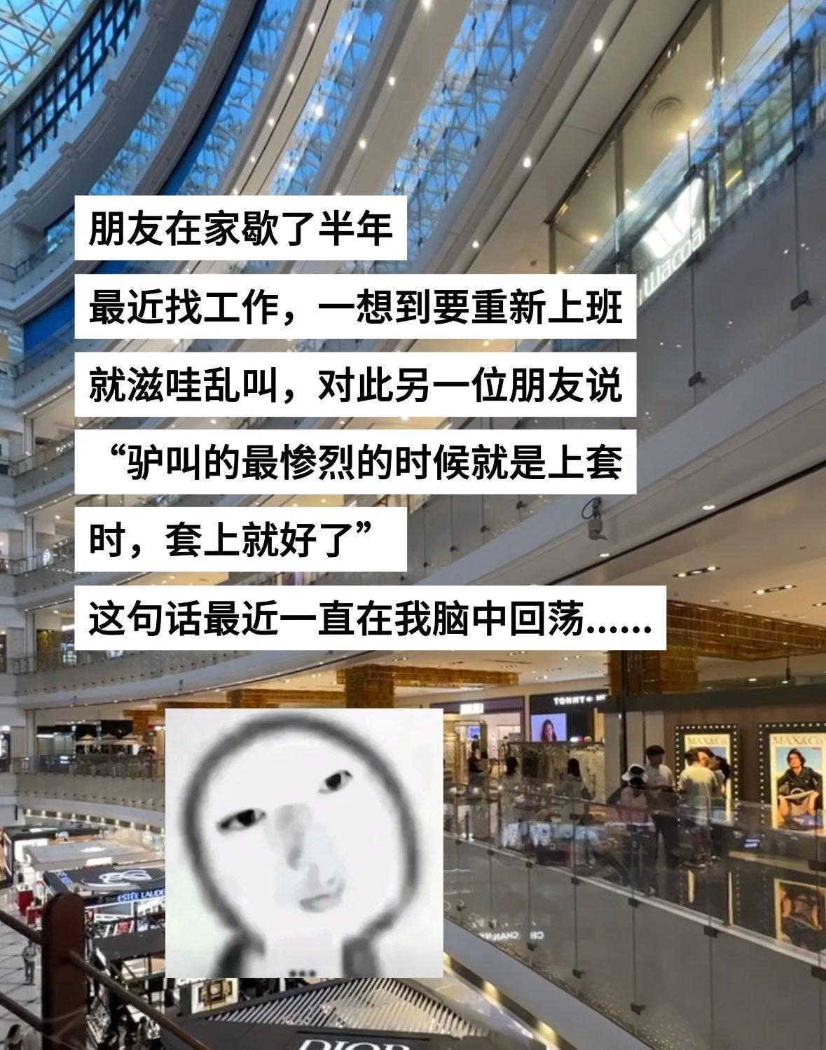 这个互联网一直在侮辱我