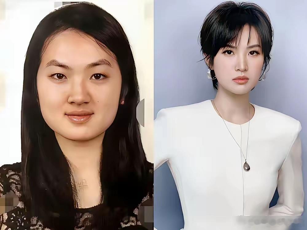 姚安娜那张旧照被扒出来，方脸塌鼻梁，跟现在这张凌厉的骨相放一块，简直像换了个人。评论区炸了，说她不是