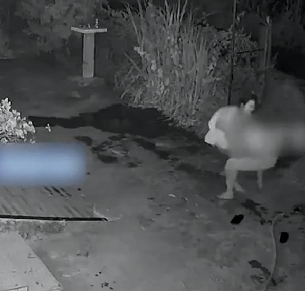 山东男子跑大车，瞒着妻子装了一个监控，没想到出车第一天就拍到这么一个画面。监