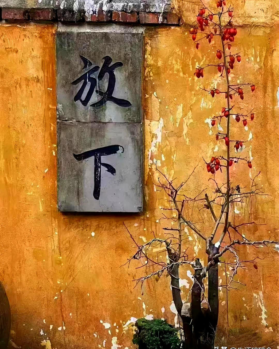 每一段婚姻都是一场独特的旅程，而经营这段旅程的艺术，恰如合伙经营一家公司，既需要