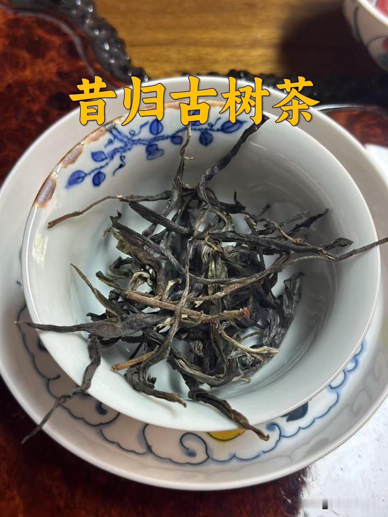 它是老班章和冰岛普洱茶的结合体，普洱茶中的太子，它就是昔归古树茶！普洱茶班章