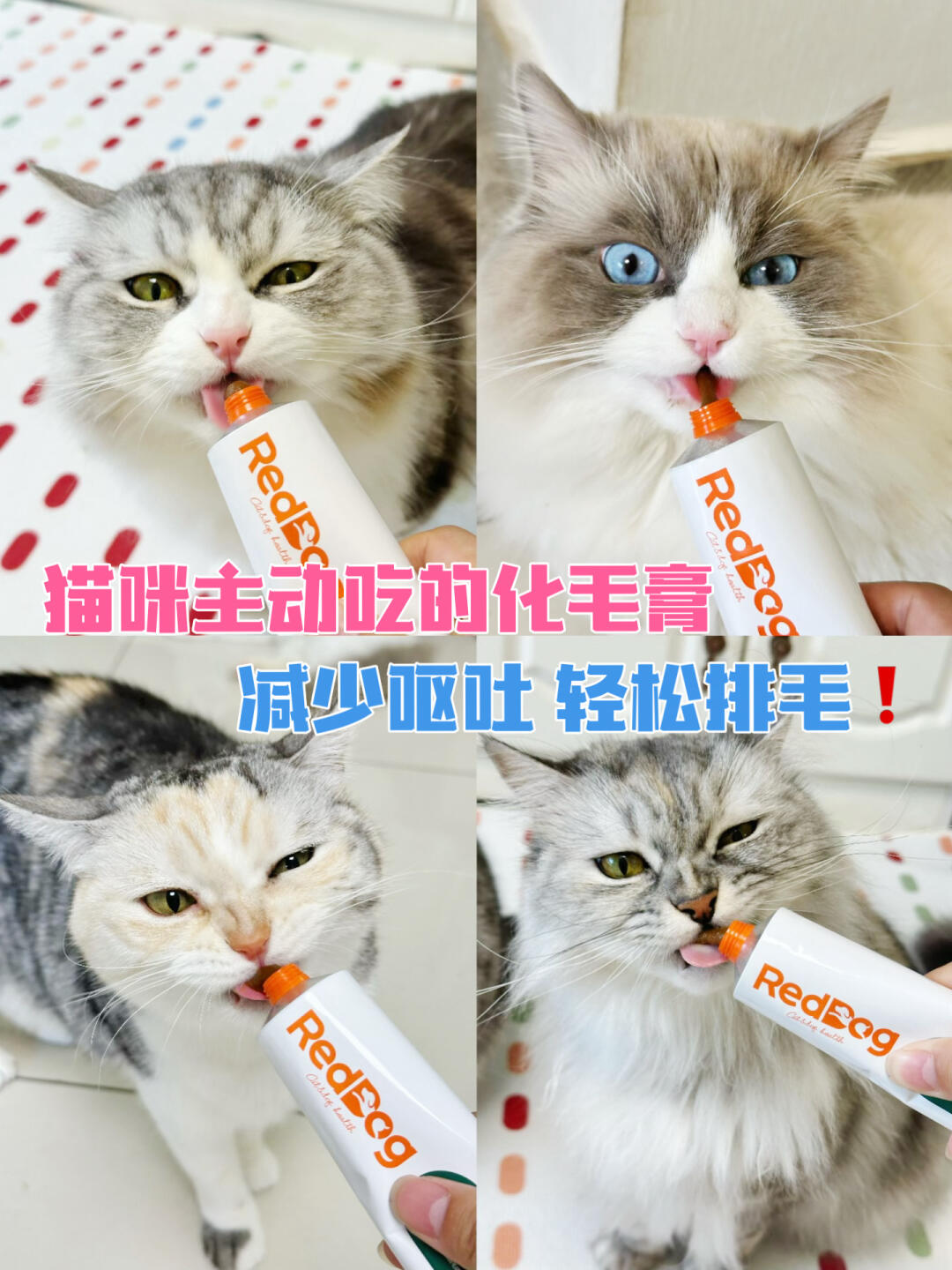 猫咪化毛全攻略！让你的毛孩子远离毛球困扰！