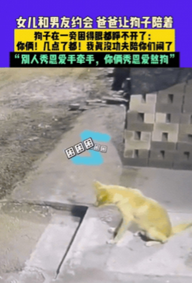 “笑不活了！”7月4日，辽宁，女儿晚上要出去和男友约会，父亲放心不下又不好跟着去