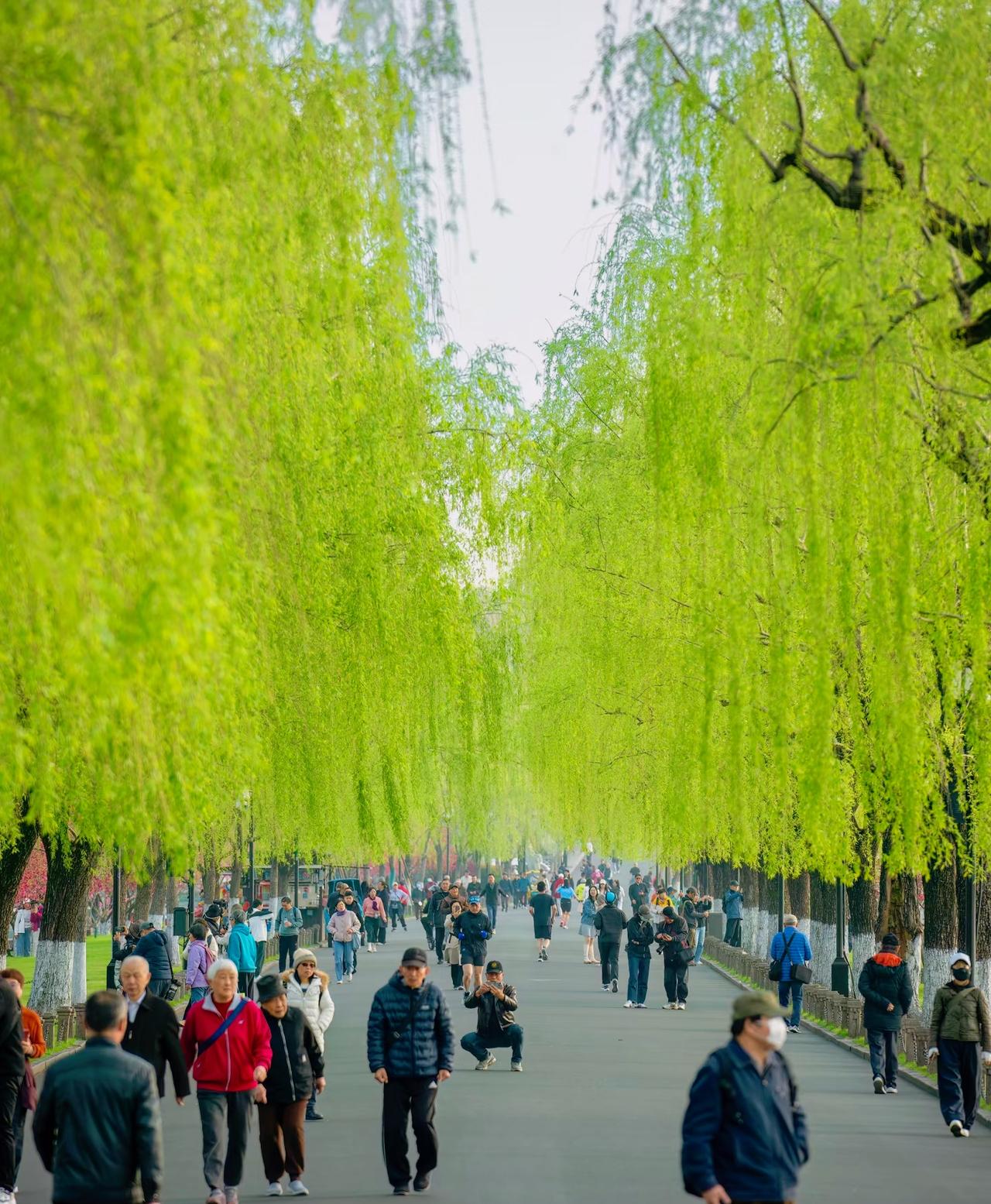 人性在活动不在运动，运动员不长寿，因为过量运动。懒人也不长寿，因为经常不运动。想