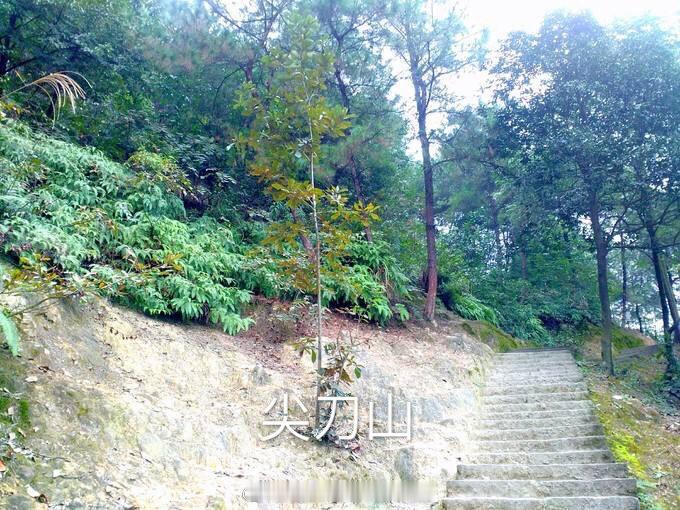 重庆生活【重庆周边的山】重庆被称为“山城”，所以山特别的多城市里的风景看腻啦，是