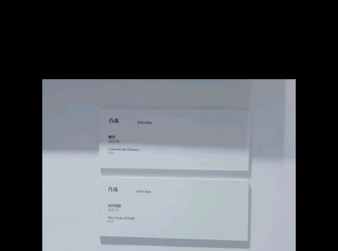 虾虾们，是不是有人和我一样好奇，肖战是不是去看过展览了，视频里出现了这个作品的名