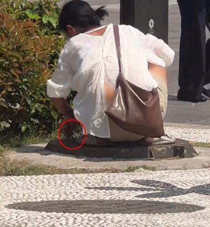 大雁塔女子偷偷往雨水井塞针管，看似小事，细思后背发凉西安大雁塔步行街，游客来来