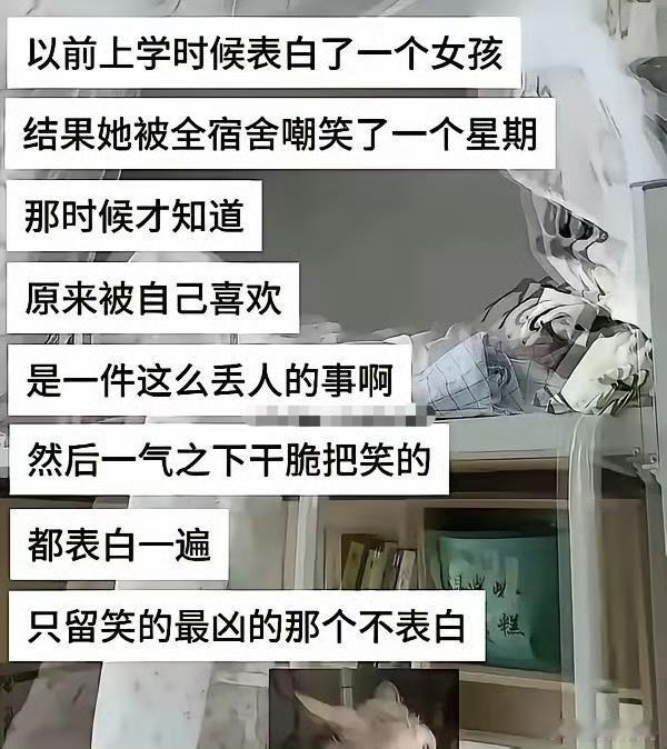 其实无人在意bro廉价的表白