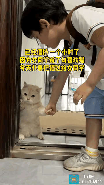 看完视频感触很深，小男孩和小猫在家门口足足僵持了一个小时。就因为女同学随口说了喜