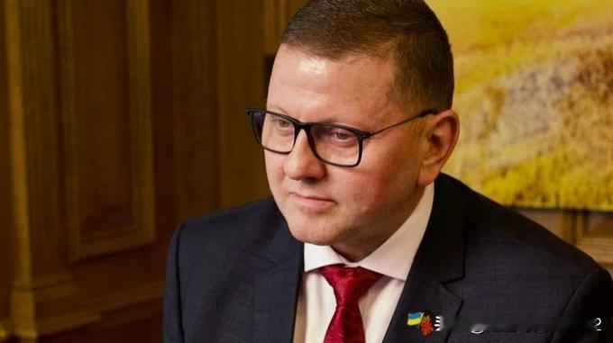 扎卢日内：即便在等待下一场战争之际，和平仍为政治变革与重建带来契机乌克兰前