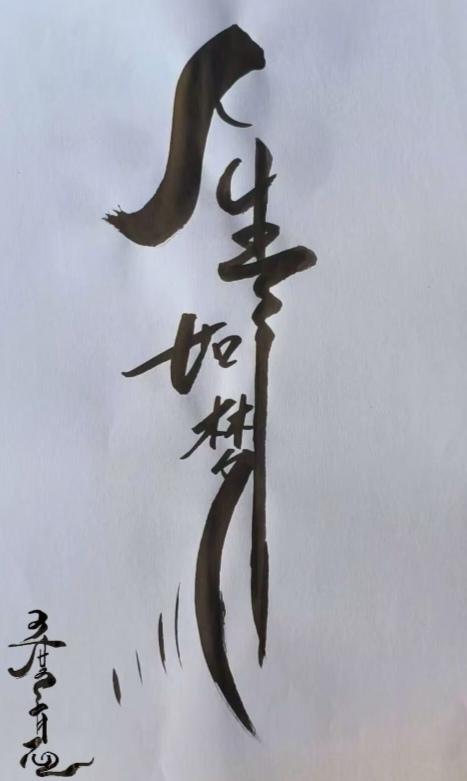 〔四川南充市〕去四川南充市。必须去“阆中古城”打卡地。