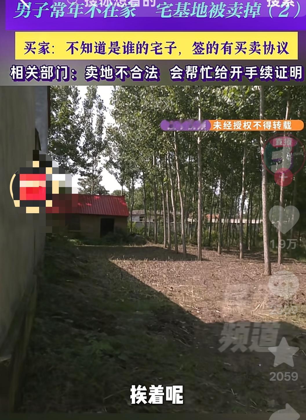 河南驻马店，一男子常年不在家，没想到他的宅基地却被别人卖掉了，而院子里的十几棵老