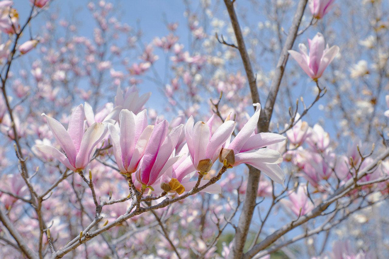 降胆固醇：别光盯着坏胆固醇降到了多少，另一个指标同样重要，很多人不知道！