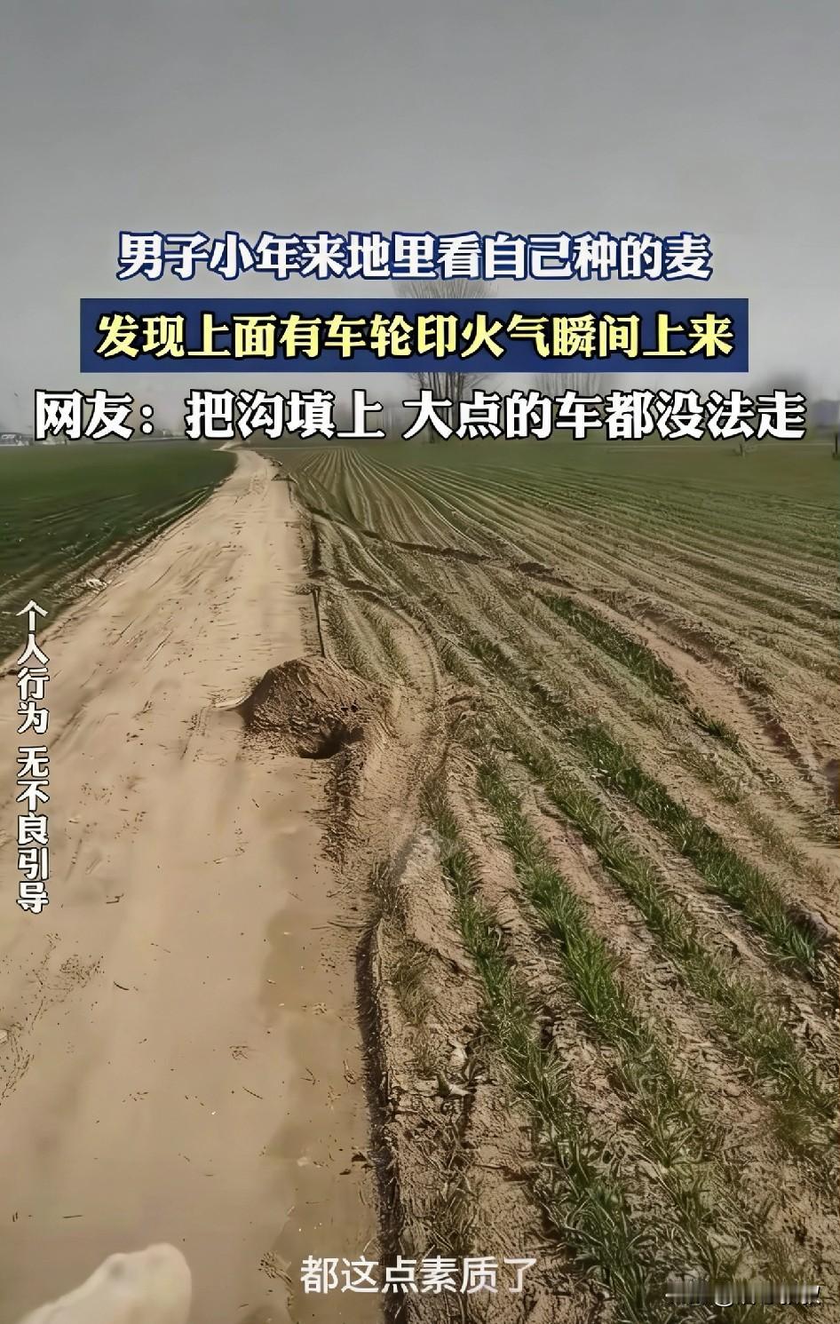 民以食为天，哪个农民看到这样的一幕都会问候压麦子地的先人。在农村很多人都特别爱