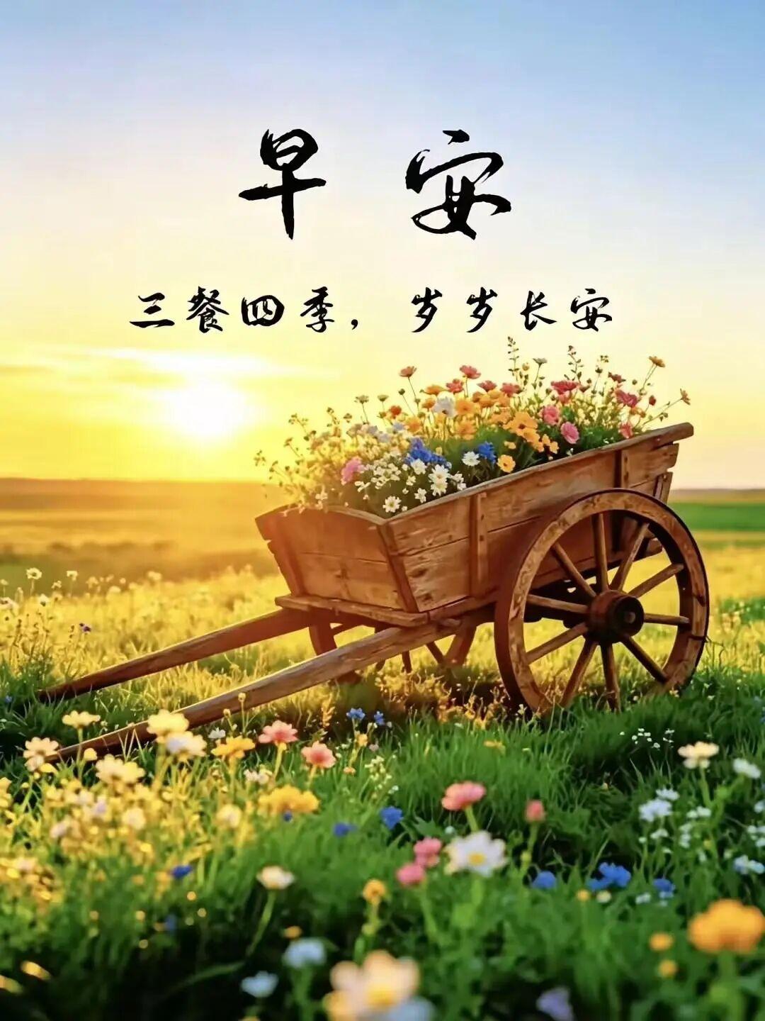 🌅问候朴实简单，心意纯粹诚恳，🌺恰逢温柔清晨，送你一份舒心好心情。💕日日开