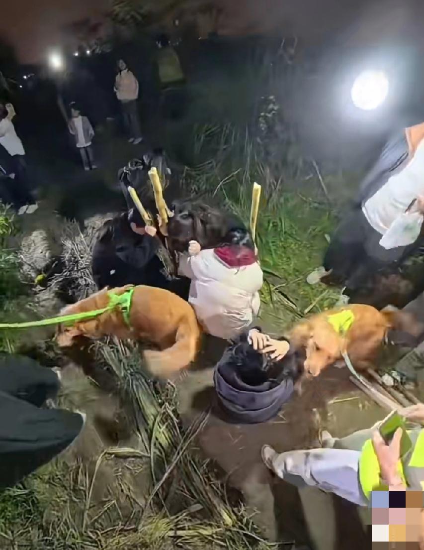 密室逃脱玩腻了，现在开始流行“偷甘蔗”了，想玩吗？近日，四川眉山。甘蔗种植户