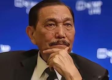 印尼国家经济委员会主席卢胡特·班查伊丹摊牌了，卢胡特称:“我告诉总统，不管你喜欢