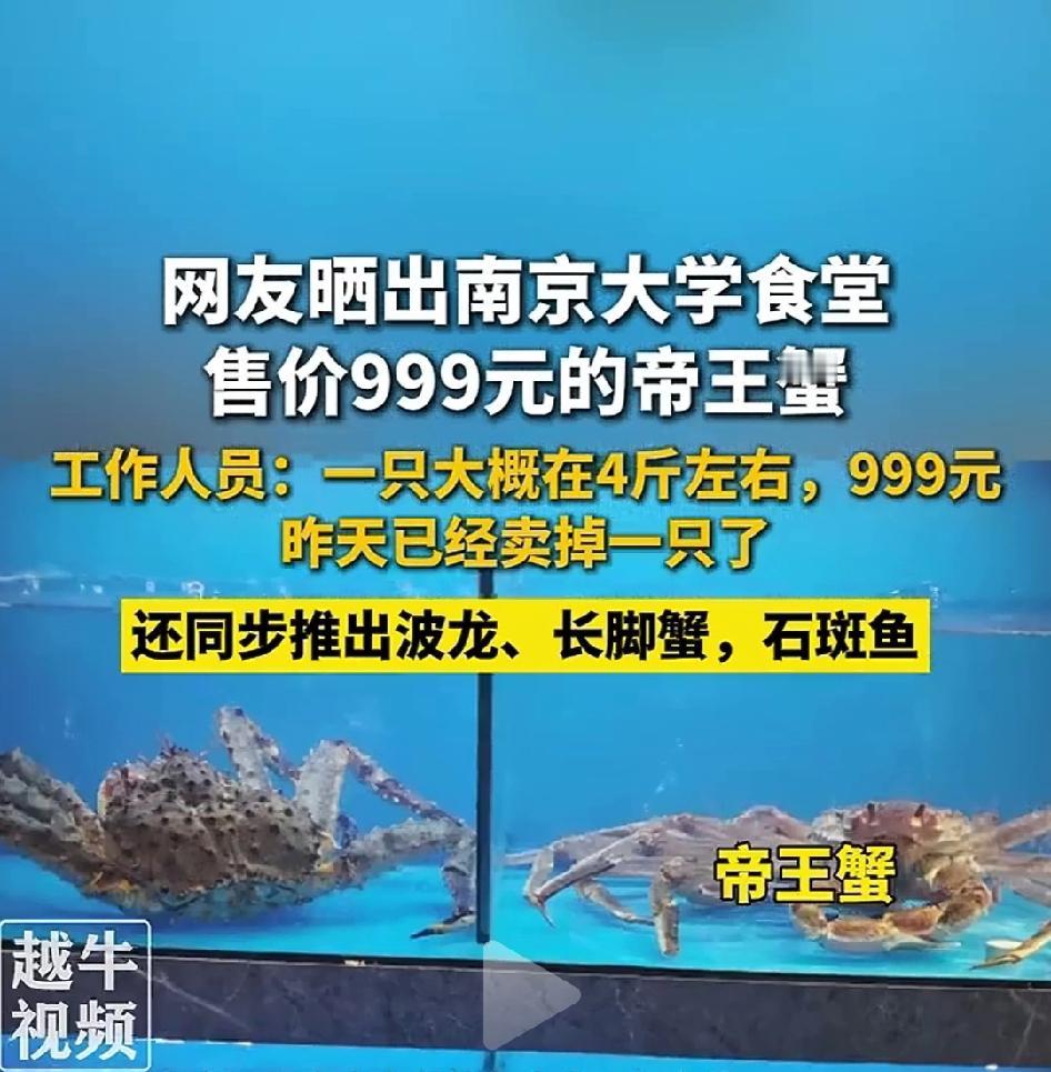 关于南京大学食堂售价999元的帝王蟹，我的观点是，大学作为连接校园与社会的桥梁，