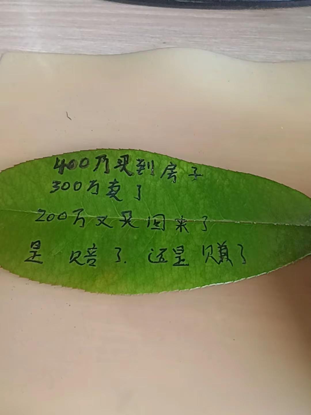 挑战你的思维，
