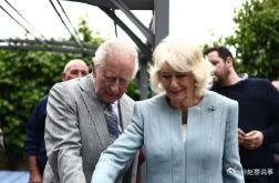 大秃王子活成了父亲的模样，他和查尔斯三世一样，背叛了戴安娜王妃。威廉王子曾经许诺