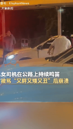 攻击性不强，侮辱性极高！女司机在公路上持续鸣笛，惹怒前方骑电动车男子，随后两人发