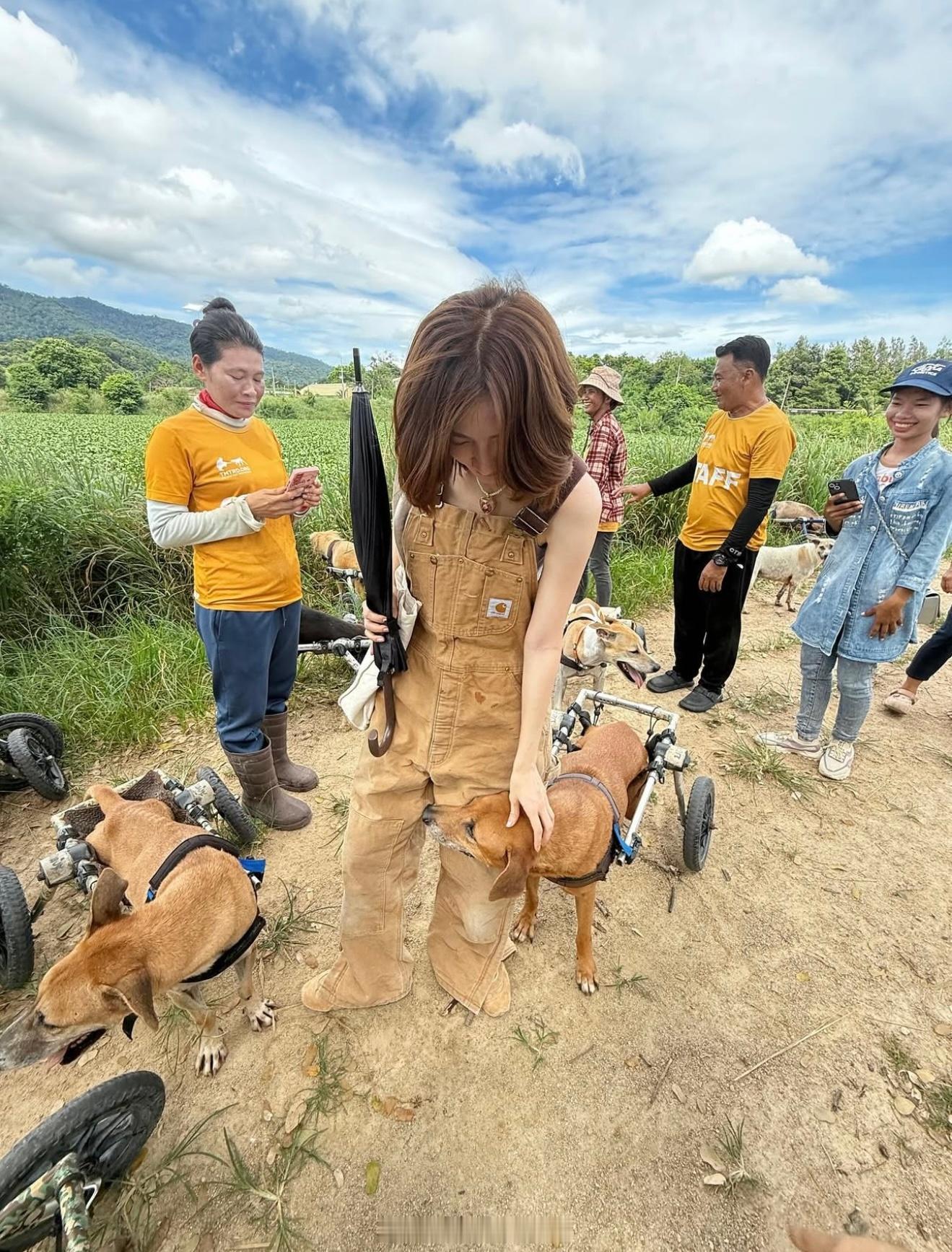 baifernbaifern小水和经纪人一起去狗狗俱乐部看狗狗🐶好有爱心啊