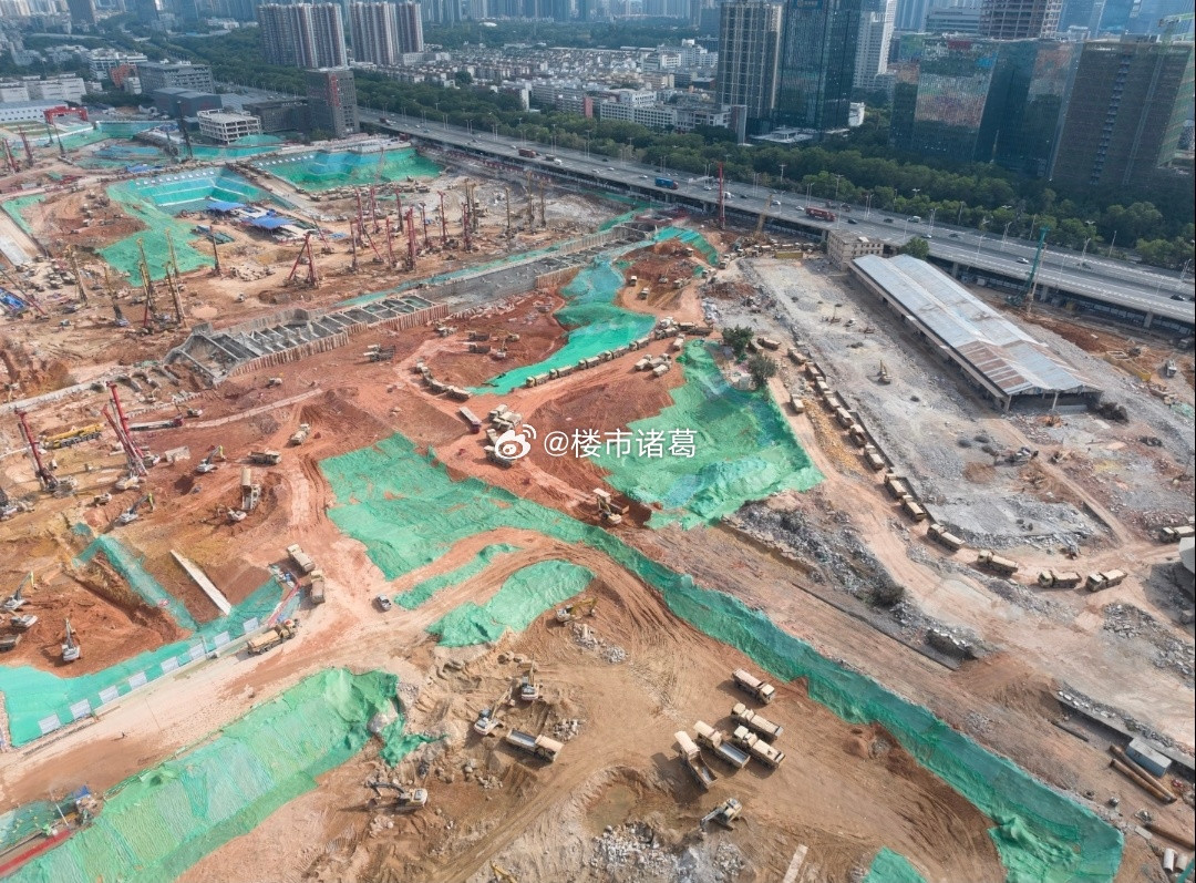 2026年的西丽高铁站，你认为它未来能取代深圳北站在深圳的地位吗？