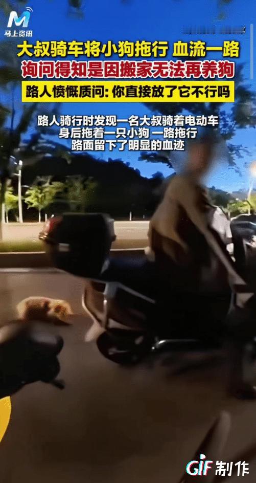 "心太狠了！"5月5日青橙融媒报道，男子晚上骑行，车灯扫过路面时发现暗红色血迹，