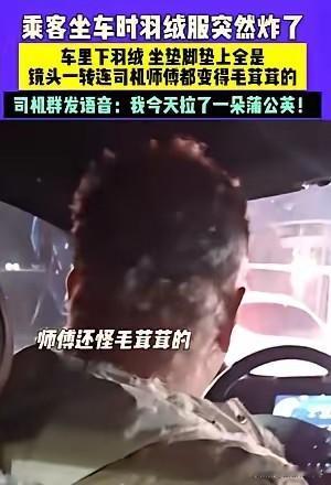 太逗了！河北一女生打车回家，坐上车没多久，就听见“嘣”的一声，身上穿的羽绒服